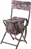 Folding Chair